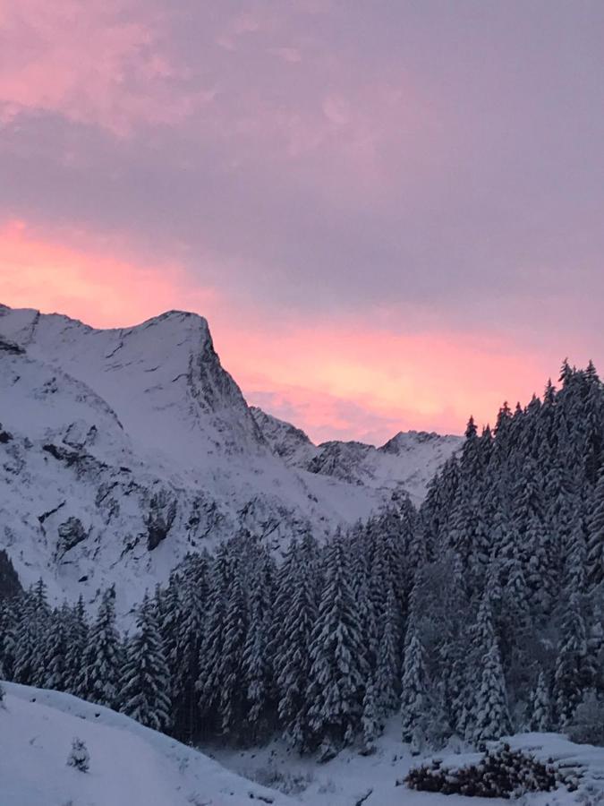 Haus Am Steinbockzentrum Sankt Leonhard im Pitztal Exteriér fotografie